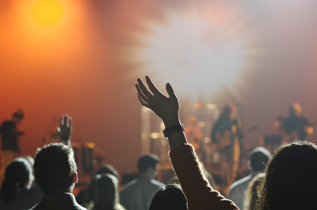 Musiciens en concert