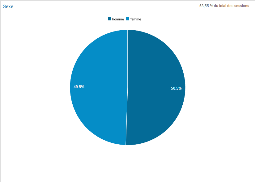 (Source : Google Analytics / 2 octobre 2015)