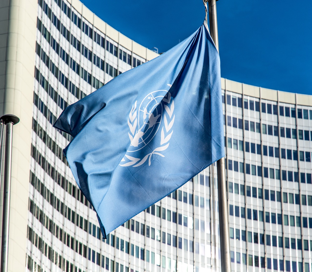 Drapeau de l'Organisation des Nations Unies (ONU)